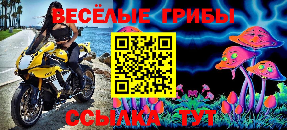Иваново  Галлюциногенные грибы мицелий  купить наркотик  Вход с VPN 